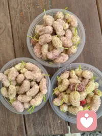 爱自己是终生的课题，学起来配图