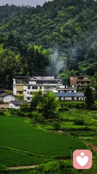 藏在大山深处的美景，满眼青绿沁人心脾，美到让人失语。行走山水间，静静感受这一方天地，仿佛忘却了世间所有烦恼。也许这就是山水自然的魅力，最简单又最纯粹，真教人流连忘返。
