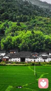 藏在大山深处的美景，满眼青绿沁人心脾，美到让人失语。行走山水间，静静感受这一方天地，仿佛忘却了世间所有烦恼。也许这就是山水自然的魅力，最简单又最纯粹，真教人流连忘返。