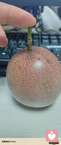 红色的百香果爆浆了，不一样的甜度！居然更加的甜，允许接纳不一样的人或物或心情等等，会有不同的收获，也许是意外的收获……