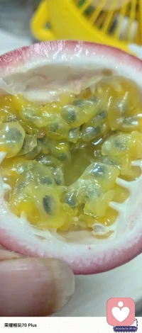 红色的百香果爆浆了，不一样的甜度！居然更加的甜，允许接纳不一样的人或物或心情等等，会有不同的收获，也许是意外的收获……