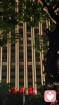 夜色正浓，正是开启心扉的好时候。