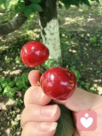 分享你的心情，我愿接纳你的情绪，互相尊重，互相理解。配图