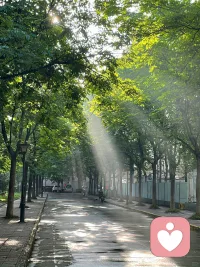 此次申请入驻给力心理，一开始因资料不合规没能通过。多亏客服全程用心解答、细致指引，我对照要求认真学习、查漏补缺，完善所有资料后成功入驻，由衷感到开心。十分感谢工作人员的耐心帮助！这件事也让我更加坚信，活到老学到老，持续学习永远是成长路上不变的准则。