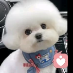 云  镜的头像