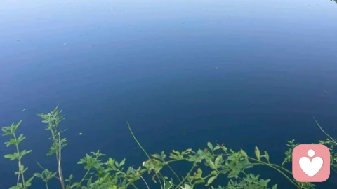 情绪稳定是一个人最重要的健康能力