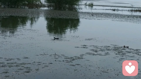 亲近的关系,更需要好好对待