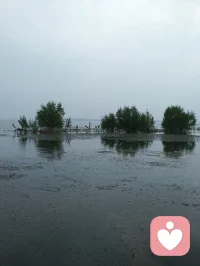 婚姻里，真正让人疲惫的，有时不是争吵，而是渐渐失去了“商量”的感觉。

一件小事，一个人直接决定；遇到问题，一个人习惯自己扛。时间久了，另一方可能会慢慢觉得：我的想法好像已经不重要了。

亲密关系里的尊重，不只是遇到大事征求意见，也体现在日常生活那些看似微不足道的事情里。

“你觉得呢？”
“我们一起想想。”
“这件事我想听听你的意见。”

这些话的背后，其实是在告诉对方：你是这个家庭重要的参与者，而不是一个被通知结果的人。

婚姻中的亲密感，很多时候就藏在这些平等的瞬间里。