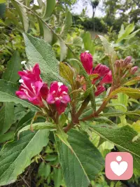 伴侣之间，有些矛盾表面上是在争一件事情，真正让两个人难受的，却是那件事情背后的感受。

一个人在意的是“你为什么不重视我”，另一个人听到的却可能只是“你又在挑我的毛病”。

于是，一个越来越想解释，一个越来越不想听；一个觉得自己没有被理解，另一个觉得自己怎么做都不对。

如果总是在事情本身争输赢，两个人很容易陷入反复争吵。

有时候，不妨停下来问一句：

“你真正难受的，是这件事情本身，还是你从这件事情里感受到的东西？”

当你们开始听见彼此真正的需要，很多看似无解的矛盾，才有机会慢慢松动。
