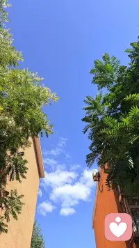 婚姻里，最怕的不是意见不同，而是两个人都开始用自己的方式保护自己。

一个人受了委屈，就变得冷淡；另一个感受到冷淡，又开始防备。一个越想靠近，一个越想躲开，最后谁都觉得自己才是那个受伤的人。

其实，很多夫妻之间的矛盾，并没有谁真正想伤害谁，只是两个人都在用防御回应防御。

当你发现关系又进入熟悉的循环时，不妨先停一下，不急着证明自己是对的。

先看看：此刻的我，是在解决问题，还是只是在保护自己的委屈？

有时候，关系真正需要改变的，不是某一句话，而是两个人面对彼此时的方式。