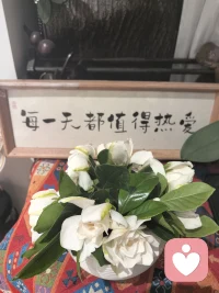 芬芳馥郁，生活的仪式感满满配图