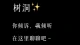 成年人的崩溃，大都留在夜里