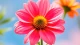 当代年轻人的恋爱：不爱轰轰烈烈，只恋心安相伴