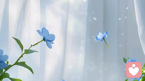 关系最大的消耗:不是争吵,是你一个人的死撑