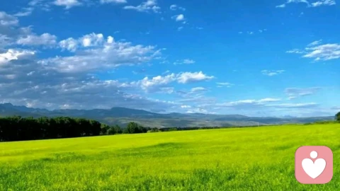 成年人的人际内耗：合群不是必修课，守住自我才是
