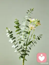 草木疗愈身，陪伴温暖心。药师工作多年，深知草木能调和肉身的疾苦；陪伴相伴，明白倾听可消解内心的困顿。生活总有难言的愁绪，也有藏在心底的期许。我愿静静聆听你的故事，温柔接纳所有情绪，始终用心守护每一份美好，愿人人身体无恙，内心有光。配图