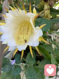人不必时刻情绪紧绷，焦虑、疲惫、内耗都是常态。接纳情绪起伏，允许自己放慢脚步，难过时松弛休整，平静时稳步前行。向内关照内心，慢慢和自己和解，日子便会趋于从容安稳。