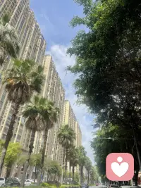 风雨过后不一定有彩虹，但一定会有一片晴空，人生的苦难也是如此，也许你的处境感觉很痛苦，请相信那一定是苦一阵子，但一定不会苦一辈子，你会寻得那片属于自己的晴空配图