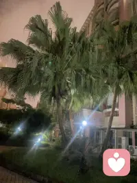 大多数内耗，都来源于心事长期没有出口。
我们一辈子都在迎合家人、顾及爱人、迁就外人，唯独长久忽略了自己。
不必强迫自己时时刻刻通透乐观，允许脆弱，允许疲惫，允许所有负面情绪存在。
这棵树洞永远为你敞开，把堵在心口的话，全部卸下就好