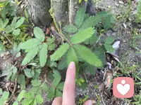 心灵就像花园

越看过很多人的起落，越发明白，每个人心底都有一座只属于自己的隐秘花园。

那些长久压抑的委屈是疯长的野草，多年放不下的心结是缠绕的藤蔓，所有无处安放的情绪，日复一日堆积，慢慢就荒芜闭塞。

不必急着铲除杂草，也不必强迫自己立刻豁然开朗。不必排斥阴暗，不必否定伤痛，先安静看见所有藏在深处的荒芜，允许一切自然流露。

自愈从来不是一刀斩断过往，而是慢慢耕耘心田，种下包容与释怀。给内心足够的耐心，慢慢松土，慢慢滋养。

心园清净，万物自会向阳。你安顿好了内在的风景，人生所有困顿，自会慢慢消散。