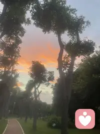 不拿别人的剧本，为难自己的生活❤️❤️

每个人都有专属的生长轨迹。我们常常会不自觉去参照旁人的人生，看见别人的顺遂与高光，就反观自己的现状，开始焦虑、自我怀疑，责怪自己走得太慢，得到的太少。
可我们看到的，往往只是别人生活的片段，那些背后的取舍、煎熬与付出，我们无从知晓。

人生从来没有统一的标准答案，也没有一套人人适用的模板。
有人年少得志，早早拥有想要的一切；有人大器晚成，在岁月沉淀之后才慢慢发光；有人热衷于奔赴热闹喧嚣，有人更适合守一份内心的沉静安稳。

不必硬去复刻别人的活法，人生不是一场和别人比拼的竞赛，不要用旁人的标准，来定义属于你的成败。
把向外比较的目光收回，回归自身。允许自己有低谷，允许自己偶尔停顿，接纳自己独有的节奏。
沿着自己的轨迹，踏踏实实往前走，便是最好的人生。配图