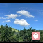 语桐的头像