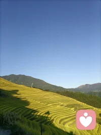 龙脊梯田顺着山势层层舒展，像大地铺展的温柔褶皱。晨雾漫过田埂，灌满春水的梯田映着淡云天光，清润柔和；若是秋日，漫山稻浪翻涌成暖金，风里裹着淡淡的稻香，抚平心底所有焦躁 。
 
木楼依山静立，田埂蜿蜒曲折，偶尔有村民缓步走过，时光在这里慢了下来。脚下泥土温润，远山青黛朦胧，没有城市喧嚣，只有风拂禾苗的轻响。站在山间远眺，层层梯田连绵至云端，心也跟着开阔安宁。所有烦恼都被山野清风冲淡，只剩平和与松弛，治愈满心疲惫。
 
（全文196字）配图