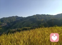 龙脊梯田顺着山势层层舒展，像大地铺展的温柔褶皱。晨雾漫过田埂，灌满春水的梯田映着淡云天光，清润柔和；若是秋日，漫山稻浪翻涌成暖金，风里裹着淡淡的稻香，抚平心底所有焦躁 。
 
木楼依山静立，田埂蜿蜒曲折，偶尔有村民缓步走过，时光在这里慢了下来。脚下泥土温润，远山青黛朦胧，没有城市喧嚣，只有风拂禾苗的轻响。站在山间远眺，层层梯田连绵至云端，心也跟着开阔安宁。所有烦恼都被山野清风冲淡，只剩平和与松弛，治愈满心疲惫。
 
（全文196字）配图