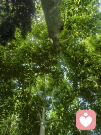 凡是让你舒服的，都是来滋养你的；
​凡是让你痛苦的，都是来扩容你的。配图