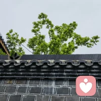 我们总习惯把孩子的厌学、咬指甲、情绪对抗、自残自伤行为当作亟待修正的“错误”，急着去纠正行为、解决表面问题，却常常忽略了这些行为背后，藏着一颗正在发出求救信号的心。咬指甲 、躺平、自伤自残可能是孩子宁愿把攻击性转向自己，也不愿去伤害他爱的父母。
孩子的“问题”从来都不是真正的敌人，而是带着信息的信使。它在告诉我们，孩子的内在世界正在经历风暴，家庭的动力系统出现了失衡。我们眼中的“问题行为”，恰恰是孩子在困境里发出的求助信号，也是解决问题的关键线索。
真正的改变，不是消除症状，而是看见症状背后的需求。当我们不再把孩子当作“问题本身”，而是试着读懂他们行为里的委屈、恐惧与无力，重新审视家庭里的关系互动，唤醒彼此被忽略的情绪与联结，那些所谓的“问题”，才会慢慢失去存在的意义。
成长不是孩子一个人的修行，而是整个家庭的同频共振。我们不必急于改变孩子，而是先试着看见、理解、接住孩子发出的每一个信号，在修复关系的过程里，同时疗愈他的身心（关系+身体两个方面），让每个生命都能在爱与安全感里，慢慢找回属于自己的成长节奏。
​配图