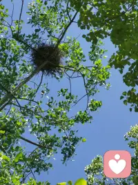 人生恰似一年四季，少年如春，清新烂漫；青年如夏，热烈蓬勃；中年如秋，沉静丰盈；晚年如冬，安宁内敛。
不同的是，人生仅此一程，无法回头重来；而四季却周而复始，岁岁更迭，让我们一遍遍体验其中的美好。配图