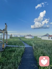 家，不该是伤人的地方，而是爱的港湾，
愿我们都能慢慢修炼，
把温柔与理解种进每一个日常✨。配图