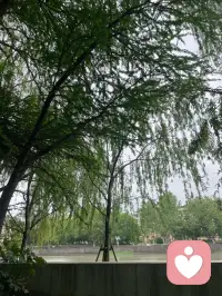 流传许久、治愈了无数人的经典祈祷文，分享给大家共勉。
它道尽了生活的智慧：学会接纳，也懂得前行。

神啊，求你赐我宁静，
坦然接受那些无力改变的事；
赐我勇气，努力去改变力所能及的事；
更赐我智慧，分清二者的边界。

愿我们都能内心安稳，从容生活🙏配图