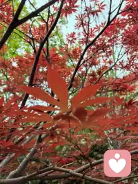 流传许久、治愈了无数人的经典祈祷文，分享给大家共勉。
它道尽了生活的智慧：学会接纳，也懂得前行。

神啊，求你赐我宁静，
坦然接受那些无力改变的事；
赐我勇气，努力去改变力所能及的事；
更赐我智慧，分清二者的边界。

愿我们都能内心安稳，从容生活🙏配图