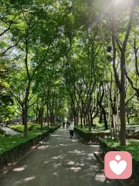你的大脑里，住着好几个“你”。
· 有一个“焦虑的你”——总在担心还没发生的事
· 有一个“愤怒的你”——一点就着，炸完就后悔
· 有一个“自我怀疑的你”——总在说“你不行”“你不配”
这些“你”，不是你的敌人。它们是你的一部分。

问题是：它们常常打架，谁也管不住谁。你就在里面被撕来撕去，这就是“内耗”。

所以，我们需要静下来。《大学》有言：“知止而后有定，定而后能静，静而后能安，安而后能虑，虑而后能得。”静自生慧。静下心聆听内在的声音，看清心底真正的所求，告别思绪纷乱，停止无谓的内耗。配图