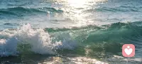 《直到我把自己想做一片大海》（吉利根博士）
I used to separate good days from bad until I thought of myself as an ocean.
I used to split times I felt strong from when I felt weak until I imagined myself as the sea.
Calm and stormy, soft and powerful, vast and unbound by anything.
In the ocean, it’s hard to divorce one mood from another, one wave from the next.
Now, on my worst days, I also think of my happiest moments.
Even when I drift in sorrow, I can feel the joy inside me.
How fragile strength can be.
Now I am not any single thing.
I do not belong fixed to one moment, one day.
I am all of it.
And all of it, is me.
我曾把好日子与坏日子割裂分开
直到我将自己想象成海洋
我曾把坚强的时刻与软弱的时刻划分两端
直到我化作一片沧海
它平静又汹涌，柔软且有力
浩瀚无边，不拘一物
在海里，你无法割裂一种情绪与另一种情绪
无法分开一朵浪花与另一朵浪花
如今即便身处最糟糕的日子
我依然看得见欢喜时光
纵然游弋悲伤之中
内心依旧盛满喜悦
原来力量，如此脆弱
我不再是某一种模样
不再困于某一刻、某一天
我是万物所有
万物所有，皆是我