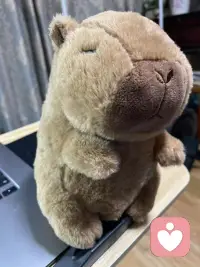 幸福，不是依附于任何外在的装点，而是内在的-
一种感觉
一项能力
一个选择
幸福是奢侈品也不是奢侈品，说它是，因为它真的很稀有很珍贵，说它不是，因为人人都可以，本自具足，只需要打破那些无形的限制，打开那些封印🎭配图