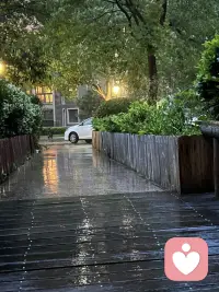 刚出门就下雨了，实在是凉快又带有风。这几天每天到傍晚的时候都要下雨，然后头顶还会有还会有雷电和雷声，在头顶伴着雷声闪电⚡️在雨中走路是什么感觉？怕怕的……配图