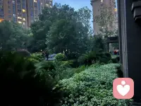 刚出门就下雨了，实在是凉快又带有风。这几天每天到傍晚的时候都要下雨，然后头顶还会有还会有雷电和雷声，在头顶伴着雷声闪电⚡️在雨中走路是什么感觉？怕怕的……配图