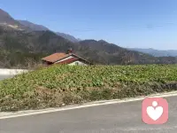 工作七八年了，职位不上不下，工资不涨不跌。新人来得比你晚，升得比你快；老同事一个个跳槽，只有你还守在原地。

你开始害怕同学聚会，害怕别人问“现在做到什么职位了”。你觉得自己像个透明人——干最多的活，背最黑的锅，拿最少的钱。

你不知道问题出在哪里。是能力不够？是运气不好？还是压根就不适合这个行业？

这种“卡住”的感觉，比被辞退更折磨人。因为被辞退还有理由，而卡住，是一场漫长的、无声的自我否定。焦虑像水一样渗透进生活的每个缝隙：吃饭在想、洗澡在想、半夜醒来还在想。

其实，你需要的不是一次升职，而是一个答案：我到底该往哪走？在这之前，请允许自己停下来，喘口气。卡住不是终点，只是转弯前的等待。配图