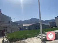 连续加班一个月了。桌上的文件堆成山，邮箱里的未读永远清不完。你坐在工位上，电脑屏幕亮得刺眼，脑子里却一片空白。

你知道自己很忙，但说不上来忙了什么。任务来了就做，做完又来，像在跑步机上狂奔，累得要死，却哪里也没去。

你开始睡不好。梦里都是工作，醒来比睡前还累。你对什么都提不起兴趣，周末只想躺着刷手机，连吃饭都懒得动。

这不是“懒”，这是长期压力下的情绪耗竭。当你的身体还在运转，内心却已经停工，抑郁就这样悄无声息地来了。

如果有人说“你就是抗压能力太差”，别信他。你不是机器，你可以累、可以慢、可以不完美。今晚早点睡，明天的事，明天再扛。配图