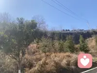 办公室里，你像个透明人

午饭时间，同事们三五成群去吃饭，没有人叫你。工作群里的聊天，你插不上话，偶尔发一句，半天没人回。开会时你的发言总被打断，或者直接被忽略。

你以为是自己不够好，于是更努力地工作，更热情地打招呼。可越是这样，越觉得自己像个讨好的小丑。

你开始害怕上班，害怕走进那个热闹却与你无关的空间。你变得沉默，变得敏感，别人的一个眼神都能让你想半天。

这种长期的社交孤立，比加班更伤人。人天生需要归属感，当你在一个群体里始终是“局外人”，孤独感会转化为深深的自我怀疑：“是不是我有什么问题？”

你没有问题。有些人只是气味不投，有些环境天生冰冷。你不是必须讨好所有人，找到一两个能说真心话的人，就够了。配图