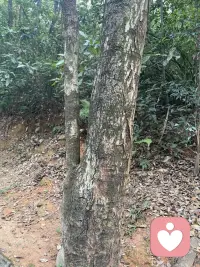 说了一万次想辞职，却不敢走

你的抽屉里放着体检报告，上面有好几个异常的箭头。你知道这份工作在透支你的身体，也榨干了你的热情。

每天早上闹钟响了，你都要在床上坐十分钟，给自己做足心理建设，才能去洗漱、出门。下班回家，你只想瘫着，连追剧都觉得累。

你无数次想过辞职，甚至偷偷改了简历。可你不敢——房贷要还，孩子要养，爸妈在变老。你怕辞职后找不到更好的，怕空窗期太久，怕别人说你“吃不了苦”。

于是你继续熬着，一天又一天。

这不是“怂”，这是成年人的责任和恐惧在打架。当你发现自己长期不开心、对一切都提不起兴趣时，请正视那个信号：你的情绪在报警。工作可以换，身体和心理只有一个。走不走的决定可以慢慢做，但允许自己先喊一声：我好累。这句话，值得被听见。配图