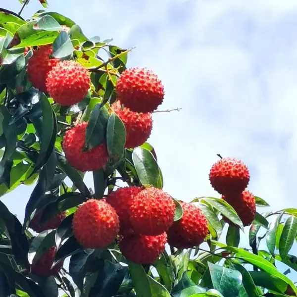 董生I职场答疑解惑