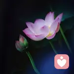 董生I职场答疑解惑的头像