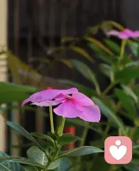 人生总会遇到些迷茫彷徨的时刻，但迷茫不是自暴自弃的借口，更不是前行的阻力。

当你在迷茫中不能自拔时，不妨静下来问问自己，是要放弃对成功的搏击，还是放弃那个庸常的自己。配图