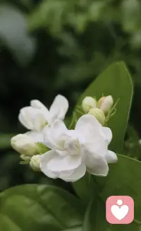 人生总会遇到些迷茫彷徨的时刻，但迷茫不是自暴自弃的借口，更不是前行的阻力。

当你在迷茫中不能自拔时，不妨静下来问问自己，是要放弃对成功的搏击，还是放弃那个庸常的自己。配图