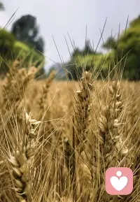 慢下来……

不必强迫自己时刻奔赴前路，允许短暂停下，就是最好的治愈。

找一处安静的角落，任由晚风轻轻裹住周身，看落日把云朵晕成温柔的橘色，听树叶沙沙私语，暂时抛开焦虑与遗憾。那些没完成的目标、解不开的心结，都可以暂且搁置。

生活从不是一场必须冲刺的竞赛。一杯温水，一缕晚风，片刻放空，就足够抚平内心褶皱。慢慢来，所有困顿都会慢慢消解。你不需要一直坚强，偶尔脆弱、短暂休憩，也是对自己温柔的成全。好好接纳当下的自己，平凡细碎的温柔，终会慢慢治愈所有疲惫。配图