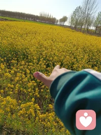 人心深处，温柔自愈
 
人这一生，总要走过几段无人问津的路，熬过几次暗自难过的时刻。我们怀揣着热忱奔赴生活，会遇见满心欢喜的相逢，也难免承受突如其来的离别与失望。
 
情绪从来都藏不住，开心时眉眼带笑，委屈时沉默不语。那些深夜里翻来覆去的心事，那些想说却又咽回去的话语，那些付出过后没能对等的真心，都会悄悄堆积在心底，慢慢消耗着原本鲜活的自己。
 
不必强迫自己一直坚强，难过就允许情绪短暂流露，疲惫就停下脚步歇歇。世间没有永远顺遂的日子，也没有一成不变的感情，相聚离别皆是常态，得失起落本就是人生。
 
不必执着于得不到的陪伴，也不必纠结已然走远的过往。不合适的人不必勉强挽留，消耗自己的关系趁早释怀。放过耿耿于怀的过去，才能拥抱轻松自在的当下。
 
慢慢学会与自己和解，接纳所有不完美。善待身边真心待你的人，珍惜每一份真诚的陪伴，看淡所有敷衍与冷落。把心事慢慢沉淀，把情绪妥善安放。
 
往后余生，愿我们都能褪去浮躁，收起敏感脆弱。不困于往事，不忧于未来，带着温柔好好生活。守好内心的安稳，珍惜眼前的美好，在平凡岁月里，自愈自渡，温暖从容。