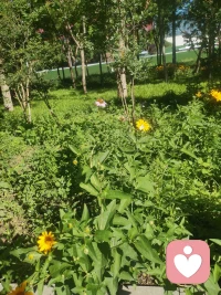要么解决问题，要么离开问题，
不要和任何问题一起生活，无休止地消耗自
己。当悲伤大于快乐时，任何关系都要停止。
成年人最好的自律是及时止损，
人都有执念，但不能执迷不悟。配图